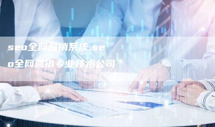 seo全网营销系统,seo全网营销专业技术公司